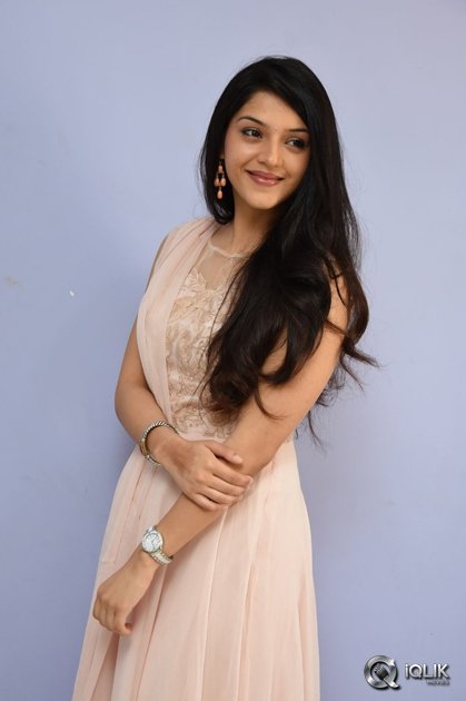 Mehreen-at-Krishna-Gadi-Veera-Prema-Gaadha-Movie-Thanks-Meet